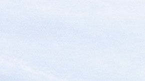 Tras la llegada del crucero a Florida, Holland America informó que se realizó una desinfección exhaustiva del barco