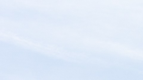 Tras la llegada del crucero a Florida, Holland America informó que se realizó una desinfección exhaustiva del barco