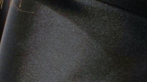 Etress era la única adulta presente en la vivienda al momento del incidente, donde se encontraban seis niños: