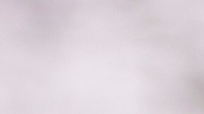 Hay signos del zodiaco que, cuando se encuentran, crean una alianza vibrante y audaz.