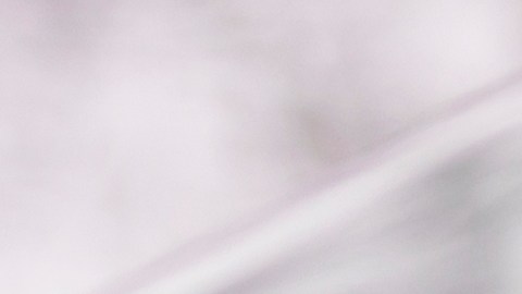 Hay signos del zodiaco que, cuando se encuentran, crean una alianza vibrante y audaz.