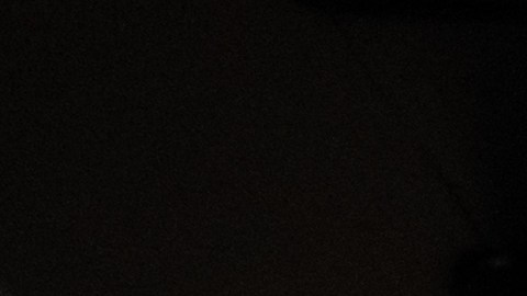 Los sueños suelen tener mensajes profundos sobre tu vida emocional.