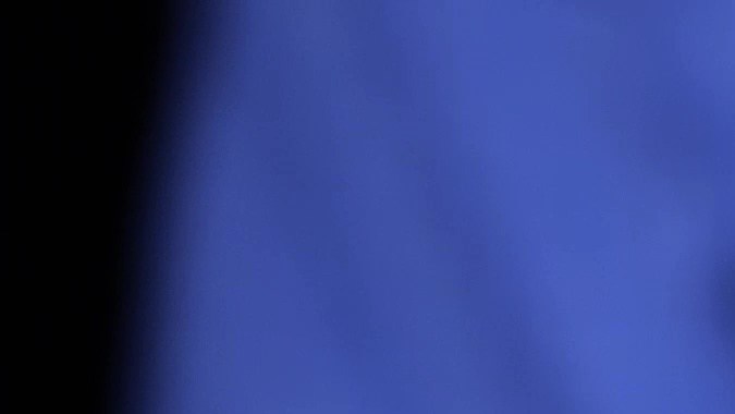 La persona no puede recibir un mensaje de texto ni WhatsApp por no haber registrado el teléfono en CURP