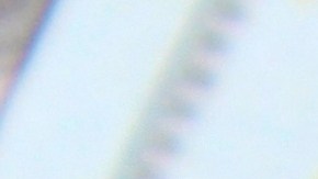 trabajo mal pagado por ser indocumentado