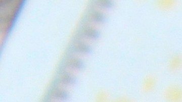 trabajo mal pagado por ser indocumentado