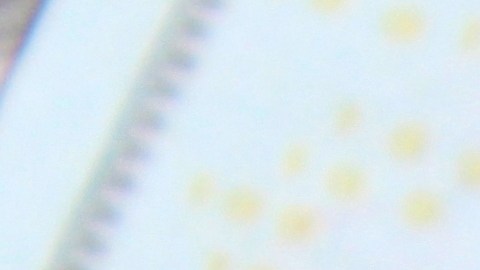 trabajo mal pagado por ser indocumentado