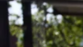 Tras situación de Canadá: EE.UU. está también a punto de perder su estatus de país libre de sarampión