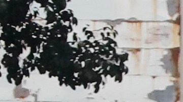 Venezuela no tendrá nuevas elecciones; Trump descarta una pronta convocatoria