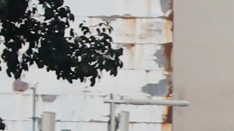 Venezuela no tendrá nuevas elecciones; Trump descarta una pronta convocatoria