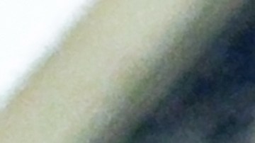 Las valiosas monedas de los años 50 que debes buscar en tu colección