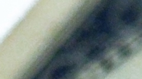 Las valiosas monedas de los años 50 que debes buscar en tu colección