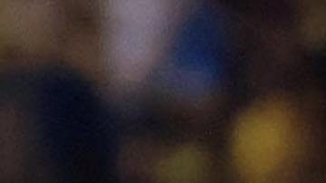 AMDEP1221. SAN PEDRO SULA (HONDURAS), 17/02/2026.- Denis Bouanga (i) y Sergi Palencia de Los Angeles FC celebran un gol este martes, en un partido de la Copa de Campeones de Concacaf entre Real España y Los Ángeles FC, en el estadio General Francisco Morazán en San Pedro Sula (Honduras). EFE/ José Valle