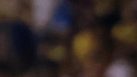 AMDEP1221. SAN PEDRO SULA (HONDURAS), 17/02/2026.- Denis Bouanga (i) y Sergi Palencia de Los Angeles FC celebran un gol este martes, en un partido de la Copa de Campeones de Concacaf entre Real España y Los Ángeles FC, en el estadio General Francisco Morazán en San Pedro Sula (Honduras). EFE/ José Valle