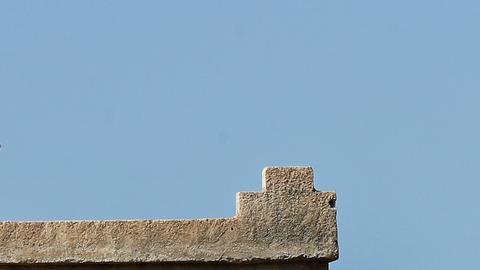 EE.UU. retiraría sus tropas de Siria, según medios