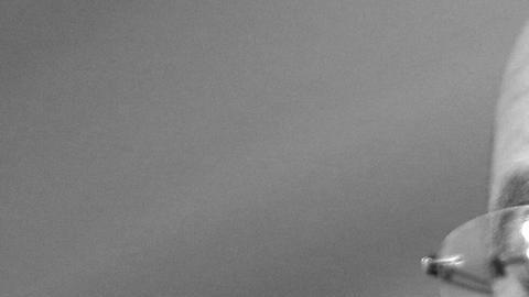 Asesinan al hijo del dictador libio Muamar al Gadafi