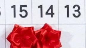 El partido oficialista ganas las elecciones en Japón