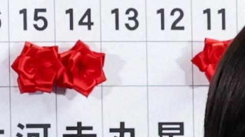 El partido oficialista ganas las elecciones en Japón