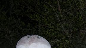 Tiroteo en escuela en Tailandia: estudiantes como rehenes