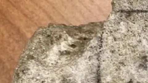 La piedra caliza romana desenterrada en los Países Bajos reveló líneas grabadas que los investigadores identificaron como un antiguo juego de estrategia.