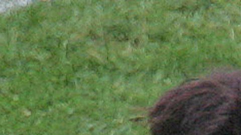 Brazil's Ronaldo, center, celebrates with teammate Kaka and Adriano, right, after scoring his sides opening goal during the World Cup Round of 16 soccer match between Brazil and Ghana in the World Cup stadium in Dortmund, Germany, Tuesday, June 27, 2006. (AP Photo/Lionel Cironneau) ** MOBILE/PDA USAGE OUT **