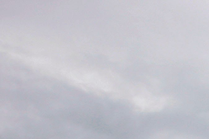 Aviones Air Force One podrán ser repintados con los colores favoritos de Trump