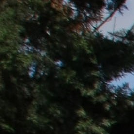 Autoridades mexicanas abaten en operativo Nemesio Oceguera, alias “El Mencho”, integrante del Cártel Jalisco Nueva Generación