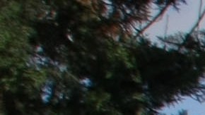 Autoridades mexicanas abaten en operativo Nemesio Oceguera, alias “El Mencho”, integrante del Cártel Jalisco Nueva Generación