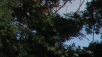 Autoridades mexicanas abaten en operativo Nemesio Oceguera, alias “El Mencho”, integrante del Cártel Jalisco Nueva Generación