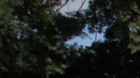 Autoridades mexicanas abaten en operativo Nemesio Oceguera, alias “El Mencho”, integrante del Cártel Jalisco Nueva Generación