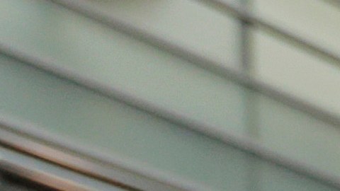 Programa TSA PreCheck se mantiene “operativo” pese a cierre y falta de fondos del DHS