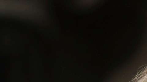 El presidente Trump ofrecerá su primer Estado de la Unión de su segundo mandato.