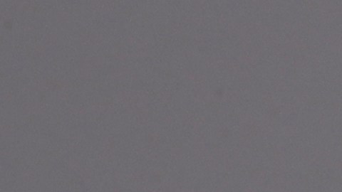 This is a 2019 photo of Terrance Gore of the Kansas City Royals baseball team. This image reflects the Kansas City Royals active roster as of Thursday, Feb. 21, 2019, when this image was taken. (AP Photo/Charlie Riedel)