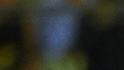 Argentina's Angel Correa, second left, celebrates scoring his side's third goal against Venezuela with teammates during a qualifying soccer match for the FIFA World Cup Qatar 2022 in Caracas, Venezuela, Thursday, Sept. 2, 2021. (Yuri Cortez, Pool via AP)