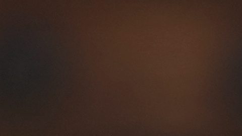 President Claudia Sheinbaum addresses supporters at a rally she convened to welcome U.S. President Donald Trump's decision to postpone tariffs on Mexican goods for one month at the Zocalo, Mexico City's main square, Sunday, March 9, 2025. (AP Photo/Eduardo Verdugo)