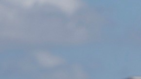 ICE deportó a un bebé enfermo, junto a su familia, con apenas uno dólares en el bolsillo.