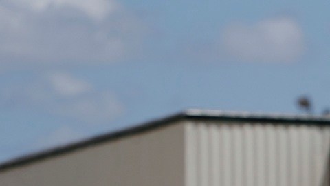 ICE deportó a un bebé enfermo, junto a su familia, con apenas uno dólares en el bolsillo.