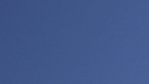 "Torito" ganó la primera carrera de la temporada.