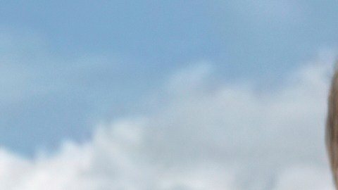 La sentencia se produjo luego de que un jurado federal declarara culpable a Routh el año pasado de cinco cargos graves,