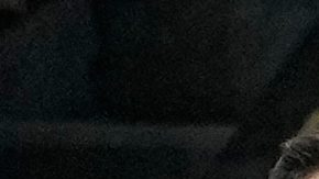 Portugal está contemplado como el rival de México en el partido que reinaugurará el Estadio Azteca antes del Mundial.