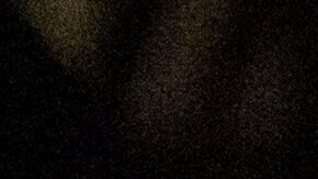 Una placa del Servicio de Inmigración y Control de Aduanas de Estados Unidos (ICE, por sus siglas) en Nueva York el 10 de junio del 2025. (AP foto/Yuki Iwamura)