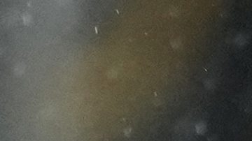 Jiménez finaliza su contrato con el Fulham en junio.