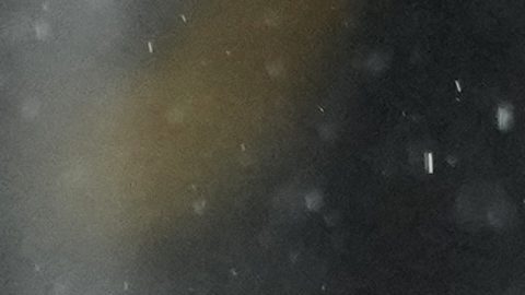 Jiménez finaliza su contrato con el Fulham en junio.