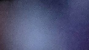 El City y el Real Madrid se enfrentaron en la temporada pasada antes de los octavos.