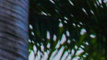 Agentes del Servicio Secreto matan a hombre armado que entró a residencia de Trump en Florida