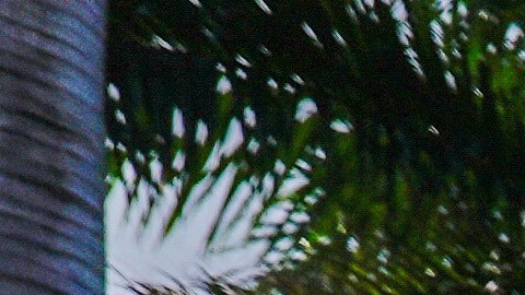 Agentes del Servicio Secreto matan a hombre armado que entró a residencia de Trump en Florida