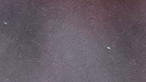 Gianluca Prestianni remata durante el partido contra el Real Madrid.