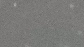 Gianluca Prestianni le dijo "mono" a Vinícius, según señalaron el jugador madridista y su compañero Kylian Mbappé.