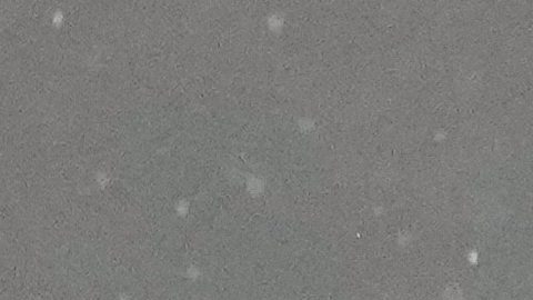 Gianluca Prestianni le dijo "mono" a Vinícius, según señalaron el jugador madridista y su compañero Kylian Mbappé.