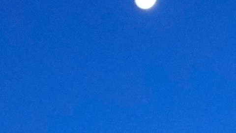 Tanto la menor como el adulto ya fueron identificados, pero no se han realizado arrestos y el caso continúa bajo investigación.