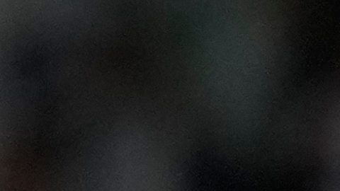 Messi es la principal figura de "Las Garzas".